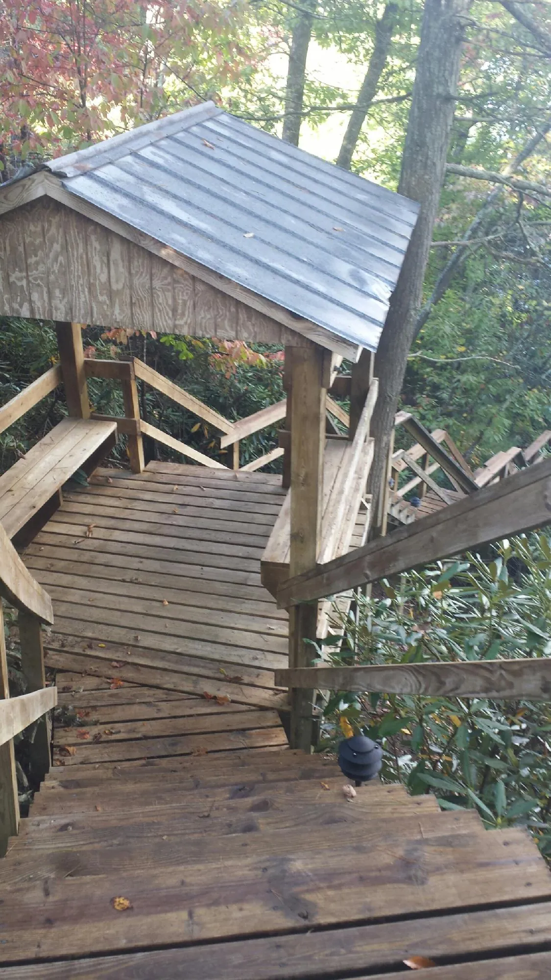 Metal roofed shelter over wooden steps on a wooded walkway — Skylight Repair & Installation work by our crew in Salmon